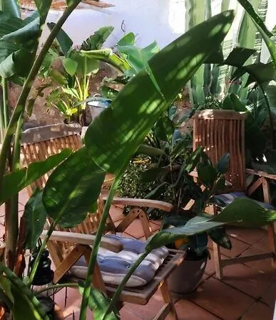 La Casita Azul *