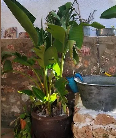 La Casita Azul Holiday home Nijar
