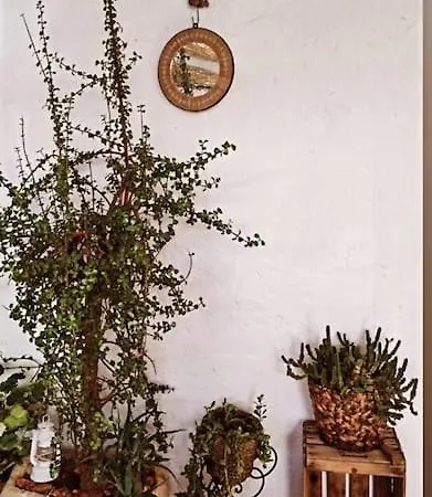 La Casita Azul Ferienhaus